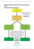 Anaerobic Respiration