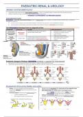 Final year MD notes - paediatric renal and urology