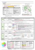 Final year MD notes - ECG 