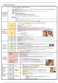 Final year MD notes - respiratory 