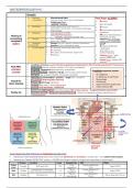 Final year MD notes - gastroenterology