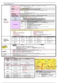 Final year MD notes - renal/ nephrology