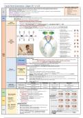 Final year MD notes - ophthalmology