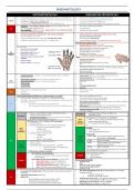 Final year MD notes - rheumatology