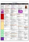 Final year MD notes - gynaecological cancers