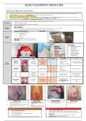 Final year MD notes - genitourinary medicine