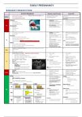 Final year MD notes - early pregnancy