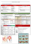 Final year MD notes - post-natal care