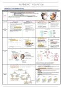 Final year MD notes - reproductive system 