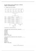     Test Bank of Chapter 6 The Muscular System I Essentials of Human Anatomy and Physiology 11e (Marieb)                                