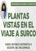 Plantas endémicas de Surco