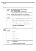 Schematische samenvatting - Geschiedenis van de Vroegmoderne Tijd (notities + boek; geslaagd eerste zit)