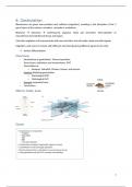 Samenvatting: H6: Gastrulation: developmental biology: An Zwijsen