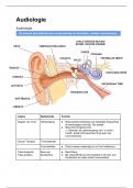 Audiologie Samenvatting Jaar 1 (Oud curriculum)