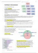 HFST 3 Stroombeleid | ideale samenvatting!