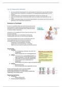 Les 10 Respiratie en ventilatie 