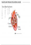 Cardiac memory tricks 