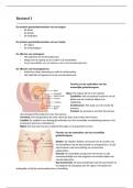 Samenvatting -  Biologie