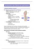 Volledige samenvatting leerpad pelvis