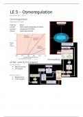 LE5 College aantekeningen Kidney Physiology (NWI-BM079) - Osmoregulation