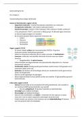 Samenvatting boek essential cell biology (+aantekeningen hoorcolleges)