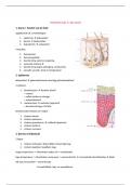 Samenvatting Tot op het bot -  anatomie 