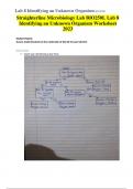 Straighterline Microbiology Lab BIO250L Lab 8  Identifying an Unknown Organism Worksheet  2023/2024