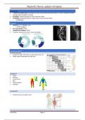 physiotherapeutic theory: SCI