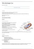 Microbiologie deel Cos samenvatting incl examenvragen 1e ZIT GEHAALD