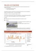 Samenvatting - Milieueconomie - 2023/2024