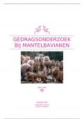 Gedragsonderzoek bij Mantelbavianen