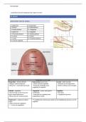 podologisch gerelateerde pathologie: dermatologie