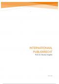Samenvatting 'Internationaal Publiekrecht' 2023 - 2024