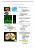 Neuropsychology and Psychopharmacology les 1 t.e.m. 7 2023