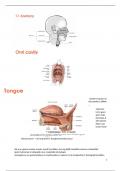 Samenvatting -  Dysphagia