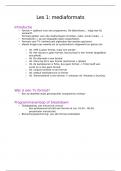 Samenvatting mediaformats (creatie, concept en format)