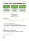 Samenvatting Audit en Deontologie