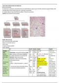 Haematology - Summary 