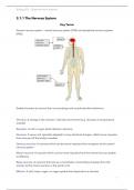 GCSE OCR A Biology Notes - B3: Organism Level Systems