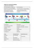 Samenvatting Vocabulaire Frans: Module 16: Le français de la logistique