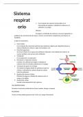 sistema excretor, respiratorio y circulatorio