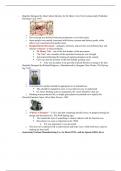 Presentation 6 Notes