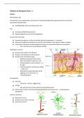 blok 1.2  medisch & biologisch colleges