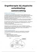 Samenvatting -  atypische ontwikkeling 3