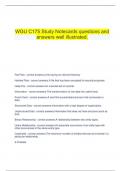   WGU C175 Study Notecards questions and answers well illustrated.