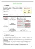 Apuntes Bioquímica 1 + actividades 