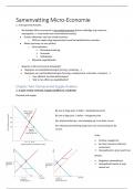 Samenvatting Micro-Economie 2023-204 (Nederlands)