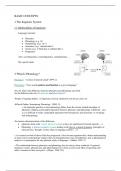 english linguistics II: phonology