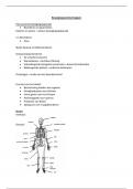 Samenvatting -  bewegingswetenschappen 1