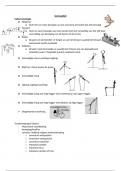 Samenvatting -  individuele sporten 